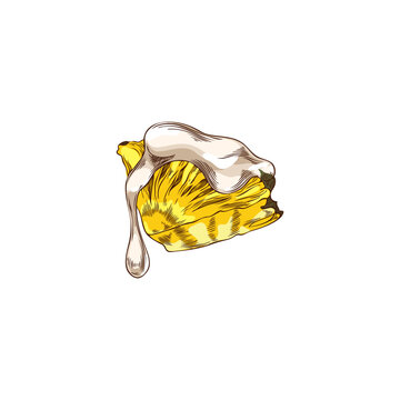 yellow pineapple slice with white cream clip art preview