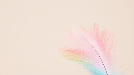 Delicate pastel feather with soft colors on neutral background