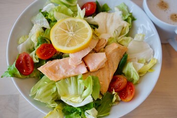 White plate of fresh salad with boiled red fish, greens, and tomatoes showcasing healthy eating and gourmet cuisine concept of nutrition, culinary arts, food styling