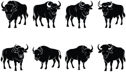 Buffalo Vector Shilhouette Bundle set