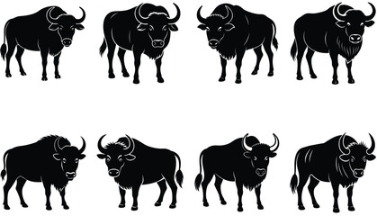 Buffalo Vector Shilhouette Bundle set