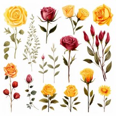 A collection of flowers and leaves in various colors and sizes