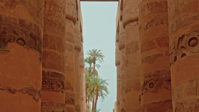 great hypostyle hall in the temple of Karnak with palm tree (row of columns), Luxor, Egypt