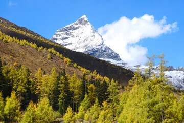 Landscape Closeup Shuangqiao Gou Valley - Most Beautiful Valley with Snow Mountain in Mount Siguniang National Park in Xiaojin Sichuan China - Dolly in Footage Autumn Season Budala Peak Vi
