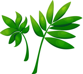 Tropical Leaf