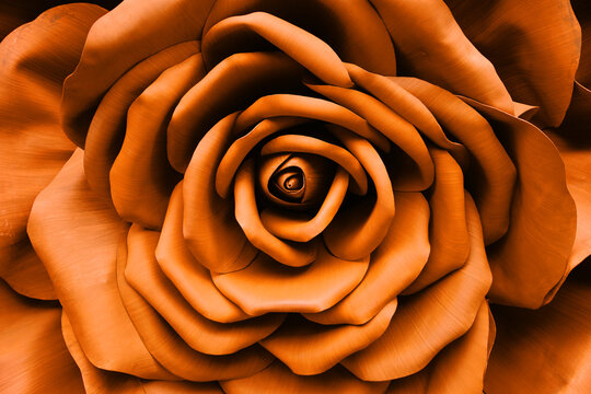 Mustard Color Rose - Top view fresh single blooming flower in the garden - image for valentine love concept  , Floral backdrop and beautiful detail   - Powered by Adobe