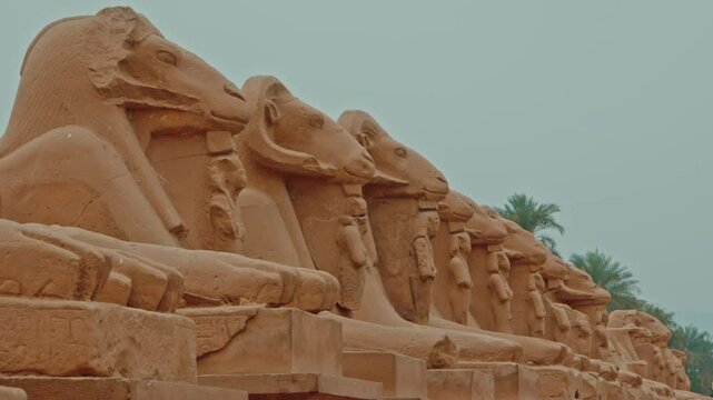 Karnak temple: the main courtyard - The row of ram-headed sphinxes, Luxor, Egypt