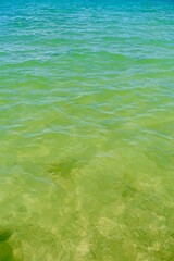 エメラルドグリーンが美しい透明な沖縄の海
