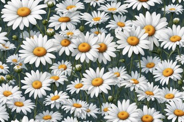 Fototapeta premium Vibrant daisy flower field pattern with white petals and yellow centers for floral design