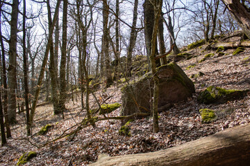 A block of stone on the top of a mountain, among autumn trees without people