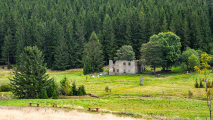 Obraz premium The remnants of Konigsmuhle settlement offer a glimpse into the past, surrounded by lush greenery and towering trees in the Ore Mountains of Czechia. Nature has reclaimed the area.