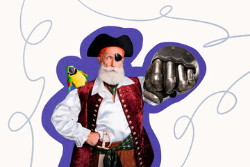 Composite art 3d image collage of strict pirate retired man show fist glove armor steel warrior hold parrot pet friend buccaneer