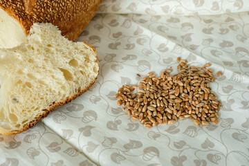 Wheat grains and sliced sesame white bread on a flower patterned tablecloth. Bitten crust. Sourdough bread sprinkled with sesame seeds.