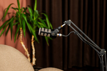 Podcast setup featuring a microphone and chair in a cozy interview space with indoor plants