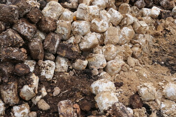 Verdorbenes Brot