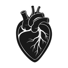 Realistic Heart Icon Black Silhouette | High-Quality Vector Isolated on Transparent Background
