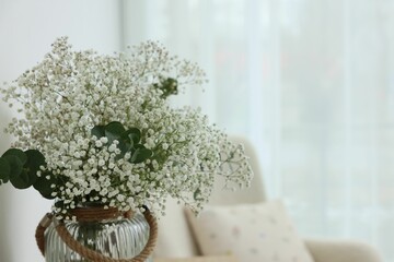 Beautiful gypsophila flowers and eucalyptus branches in vase at home, closeup. Space for text