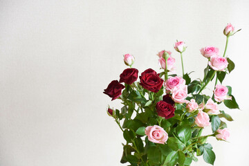 赤とピンクのばら