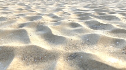 Sandy Beach Texture Under Sunlight