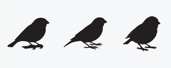 Set of three black bird silhouettes in various poses against a light gray background, showcasing different flight and perched positions. Minimalist and elegant wildlife illustration