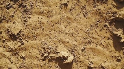 Fototapeta premium Sandy soil texture with small rocks and pebbles