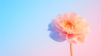 Obraz premium Colorful flower graphic poster PPT background, abstract flower computer wallpaper background