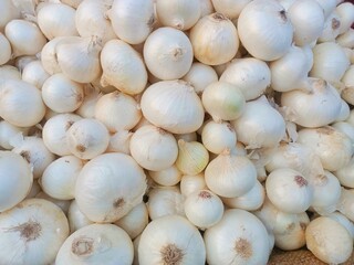 white onion group