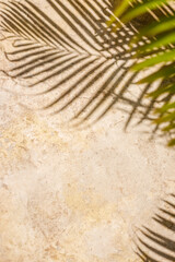 The distinct shadow of palm leaves cast on a sunlit concrete surface