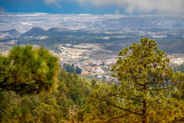 Fototapeta premium Expansive landscape featuring lush, forested hills in Tenerife. Agricultural fields are visible among the trees