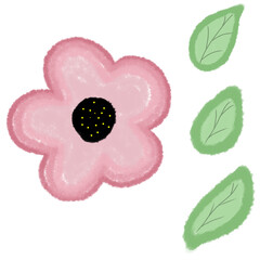 watercolor flower pink and leaf , hand draw