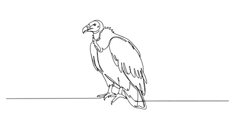 vulture bird perched with wings closed drawn in clean one line art
