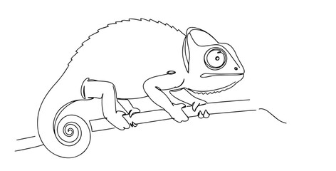 chameleon with curled tail drawn in creative minimalist line drawing © Wieslaw