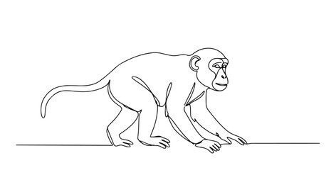 monkey in curious stance drawn in simple continuous line art style © Wieslaw