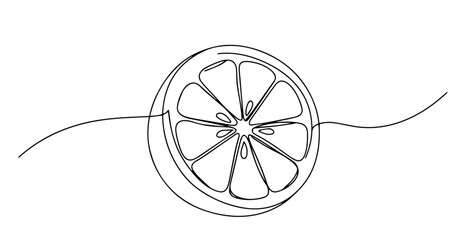 citrus slice showing segments drawn in clean continuous line illustration