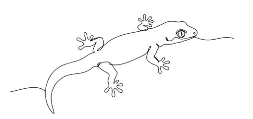 lizard crawling in simple side view drawn in minimalist one line vector