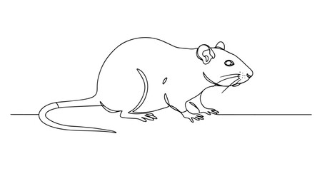 rat hand drawing one line vector monoline
