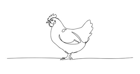 chicken hand drawing one line vector monoline