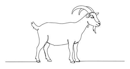 goat farm animal with horns nature vector monoline one line line art