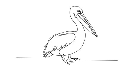Fototapeta premium pelican bird with large beak waterfowl vector monoline one line line art