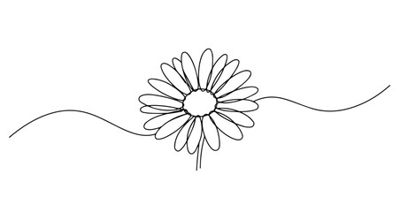 daisy flower illustration line art one line vector monoline