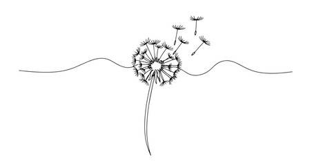 dandelion flower blowing seeds vector monoline one line line art sketch illustration © Wieslaw