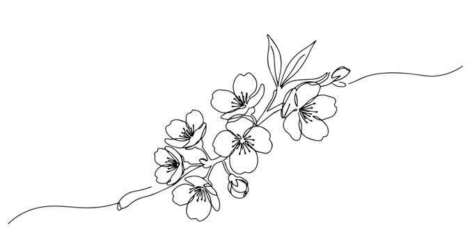 minimalist cherry blossom drawing elegant floral line art