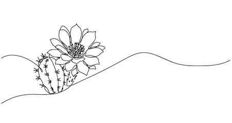 cactus flower desert plant vector monoline one line line art sketch illustration