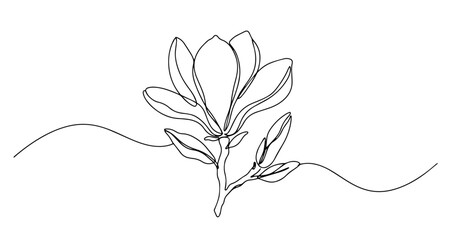 magnolia flower branch vector monoline one line line art sketch illustration © Wieslaw