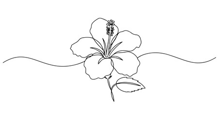hibiscus flower vector monoline one line line art sketch illustration © Wieslaw