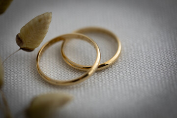 boda, anillas, amor, dorada, compromiso, alhajas, metal, diamante, par, 2, plata, blanco, s&iacute;mbolo, romance, macro, brillante, objeto, casado, anillo de bodas, alhaja, macro, zoom, ceremonia