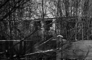 A desolate, stark black and white scene captures an abandoned building peeking through a dense veil...