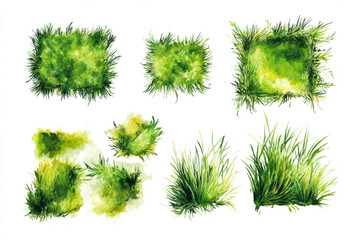 Set of green grass,Hand-drawn watercolor illustration 