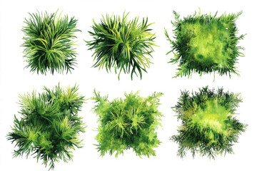 Set of green grass,Hand-drawn watercolor illustration 