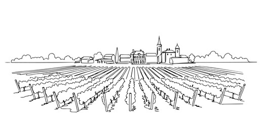 Obraz premium Vineyards of Bordeaux with rows of grapevines monoline vector oneline line art illustration